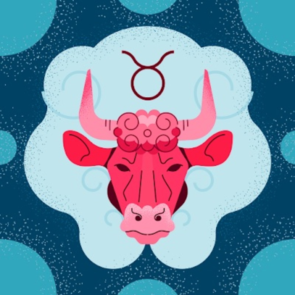 Meet your Posher, Tess